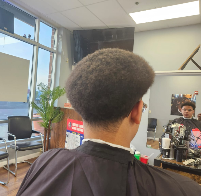 Noah One Grooming Haircut 12